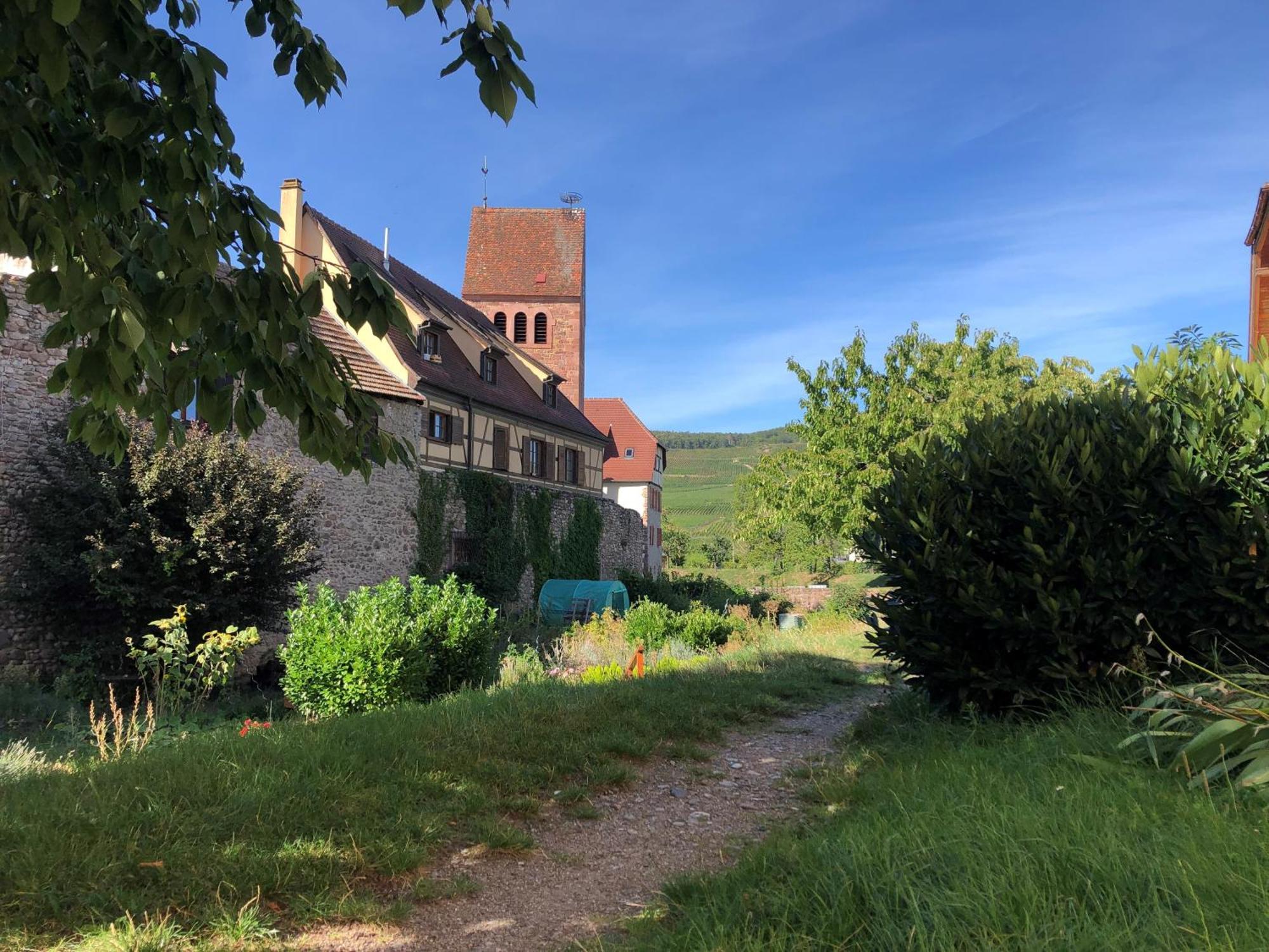 Gite De La Tour Des Fripons. Kientzheim Exterior foto